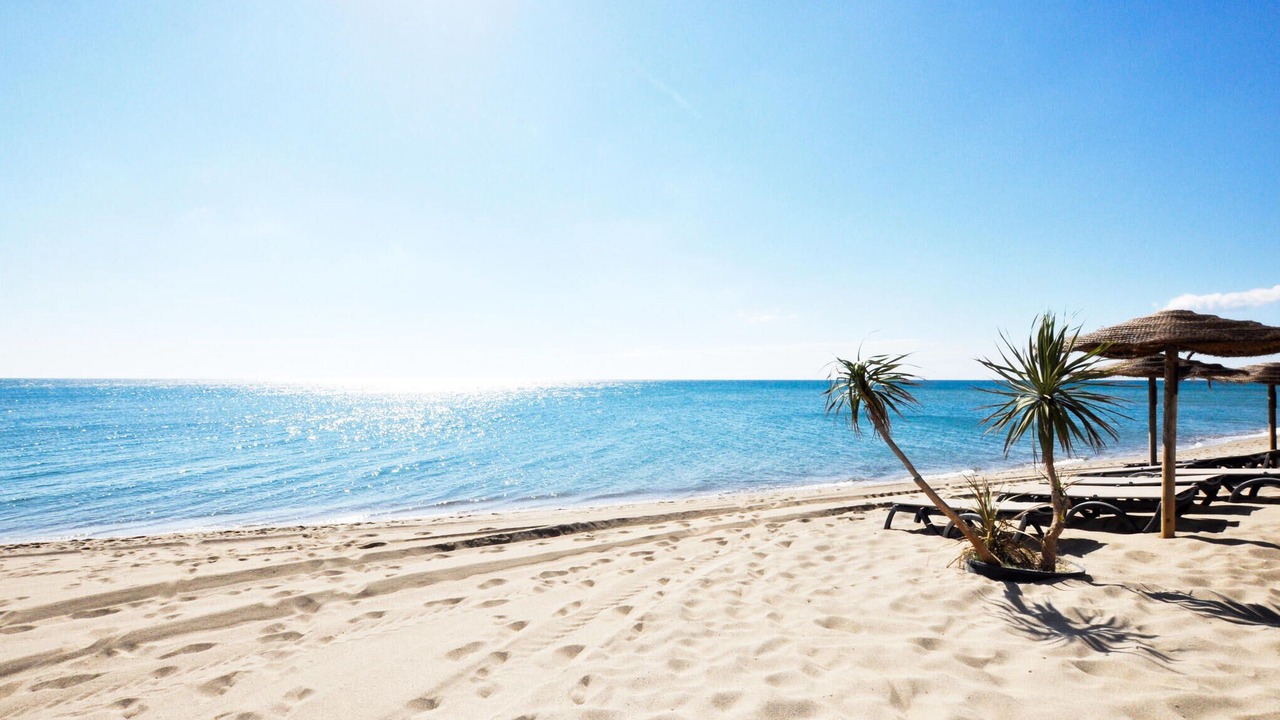 Photo of Others in La Gare