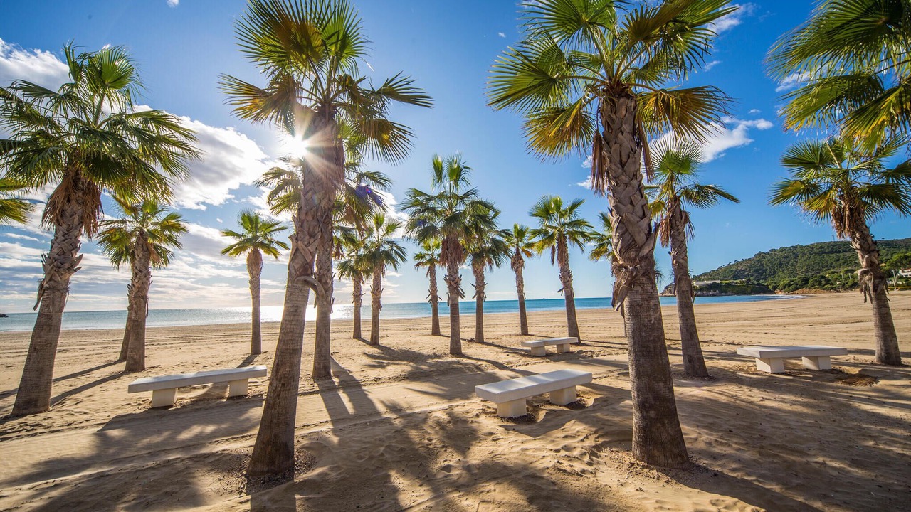 Photo of Others in Oropesa del Mar