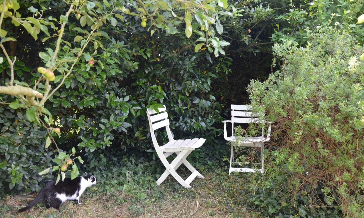 Photo of Outdoor in Roz-Landrieux