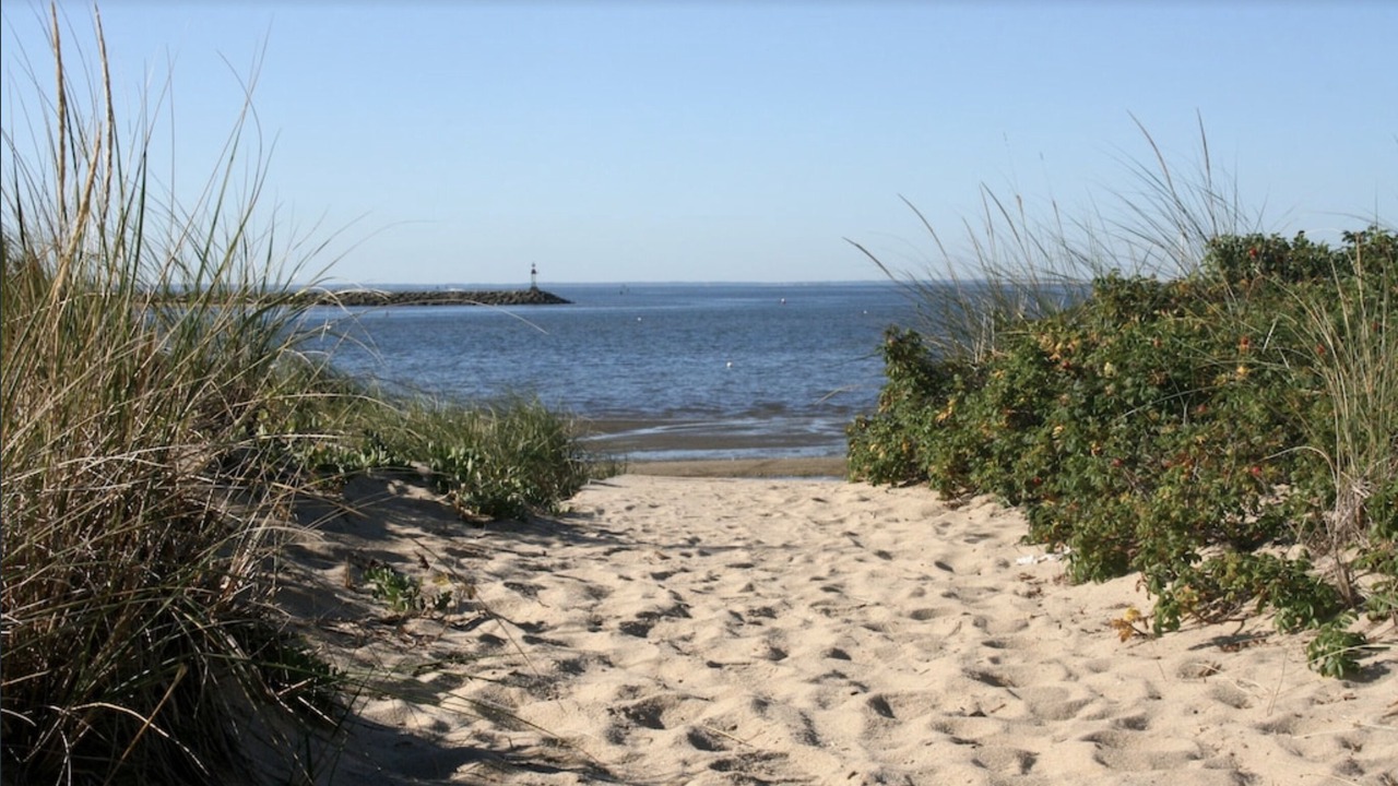 Photo of Others in Indian Neck Heights