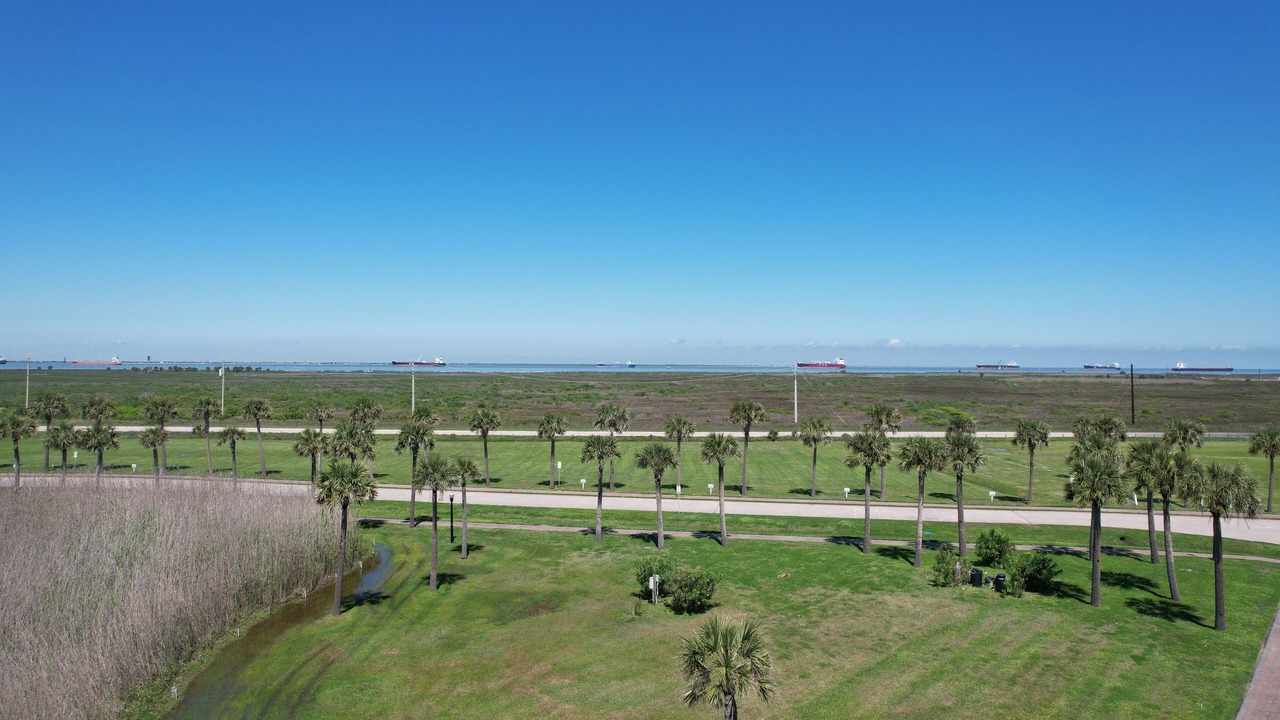 Photo of Others in Galveston