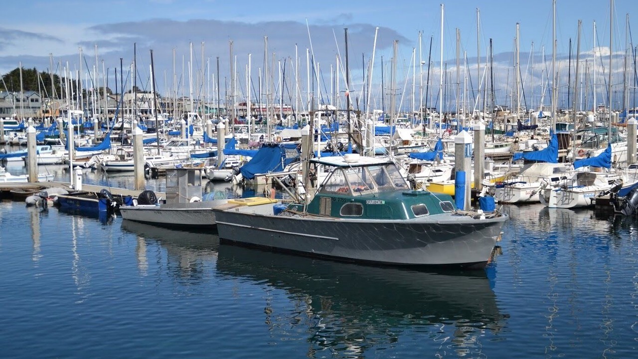 Photo of Others in Monterey