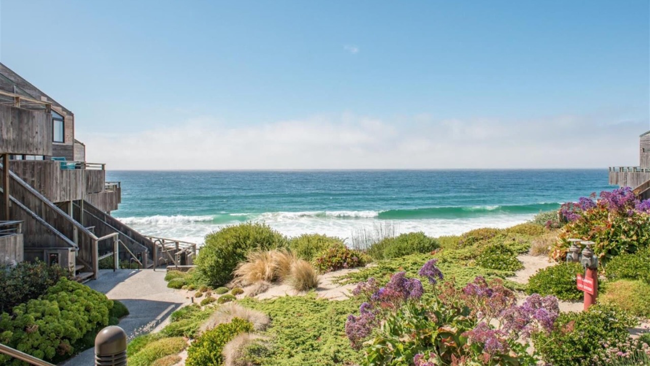 Photo of Others in Monterey