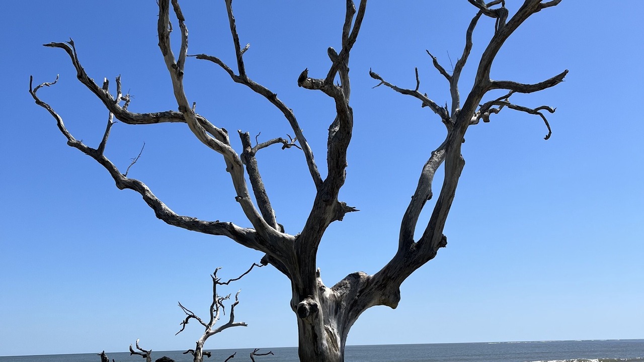 Photo of Others in Saint Helena Island