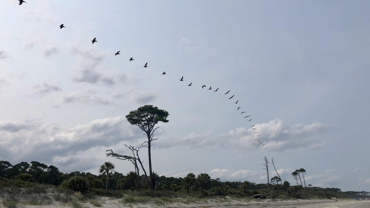 Photo of Others in Saint Helena Island