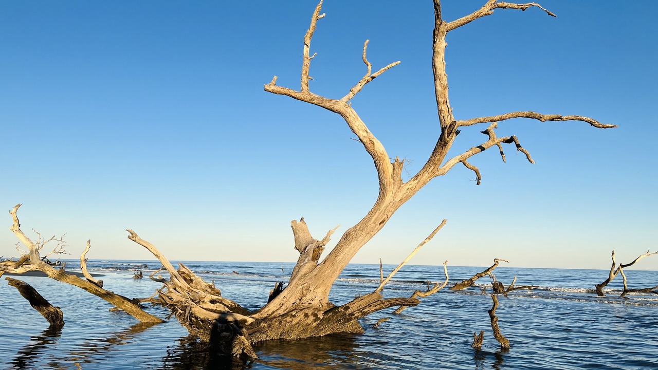 Photo of Others in Saint Helena Island