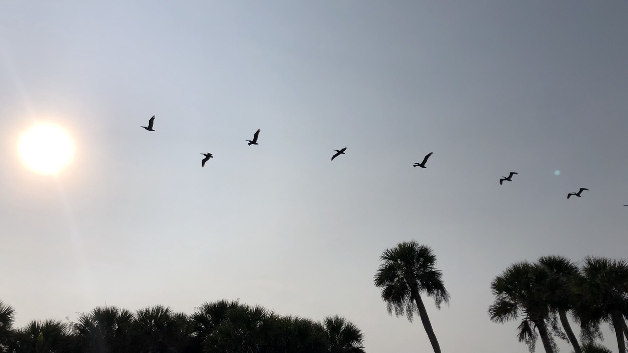 Photo of Outdoor in Saint Helena Island