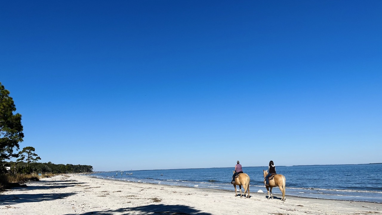 Photo of Others in Saint Helena Island