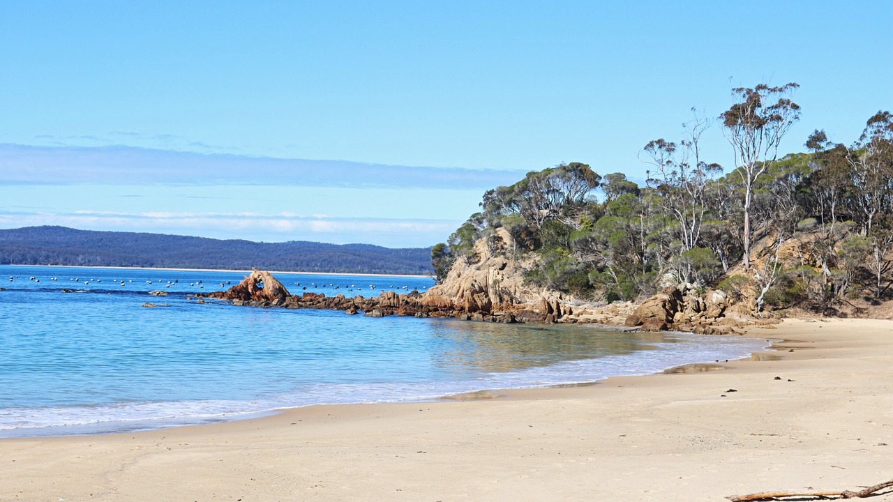 Photo of Others in Eden