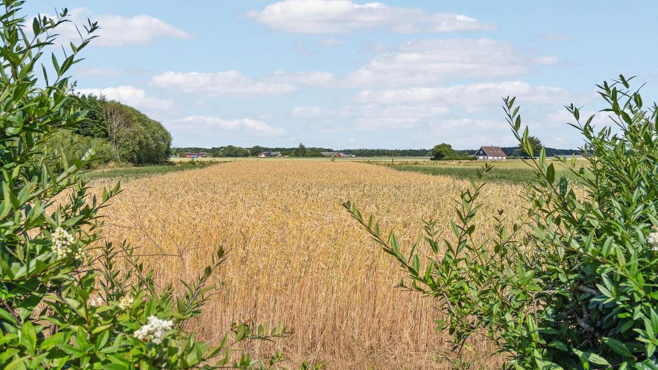 Photo of Others in Bandholm