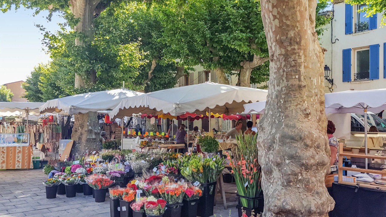 Photo of Others in Les Brugassieres