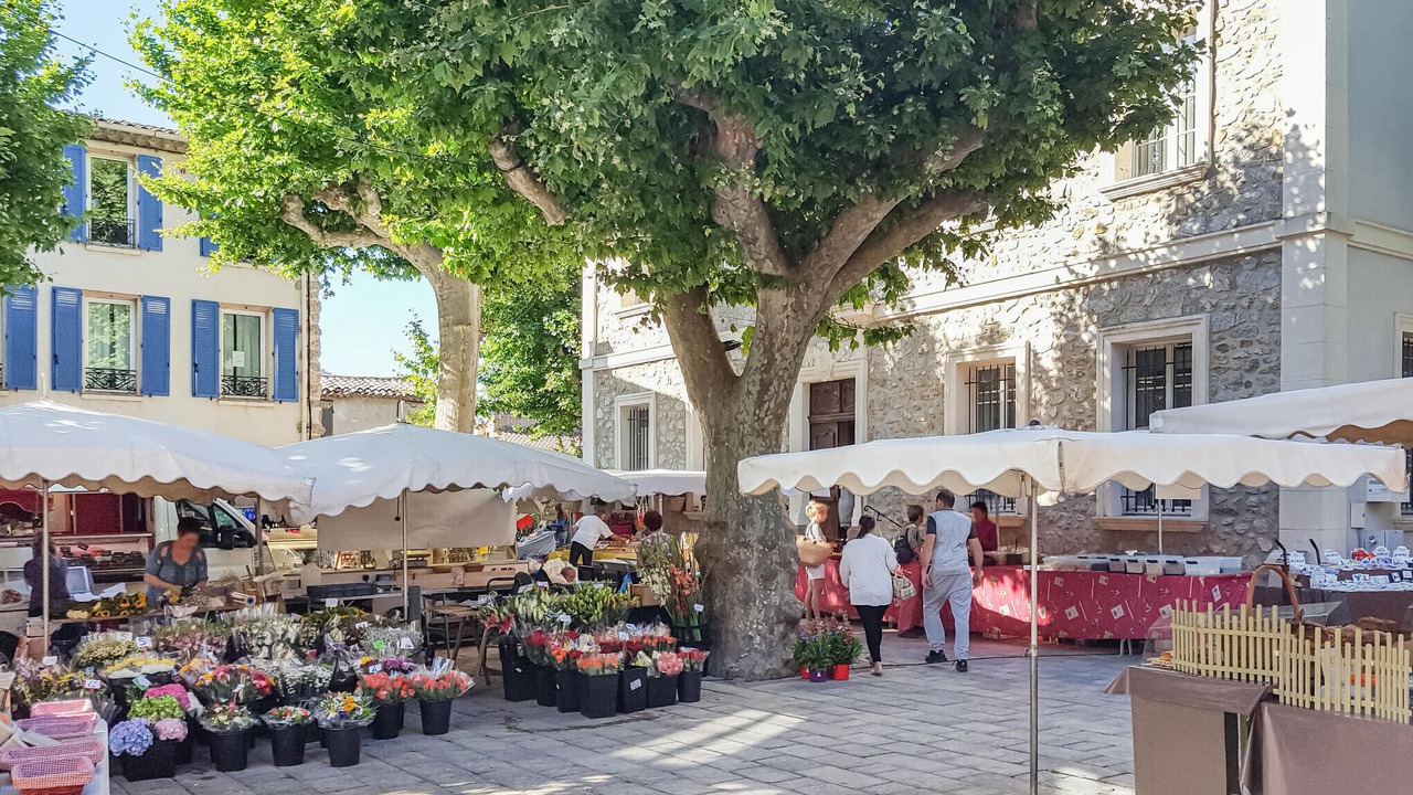 Photo of Others in Les Brugassieres