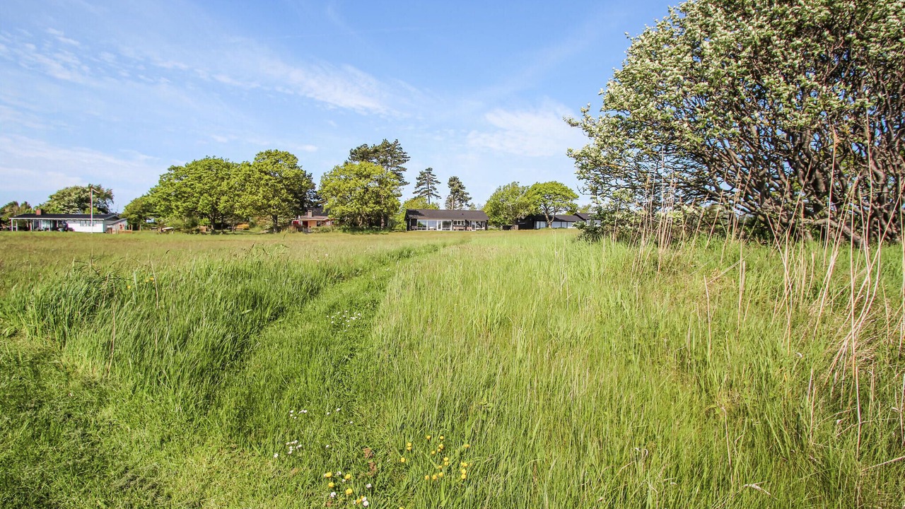 Photo of Others in Langemark