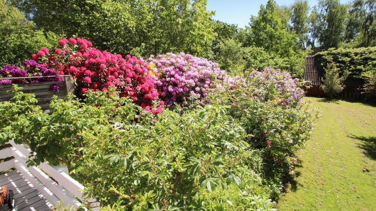 Photo of Others in Marup