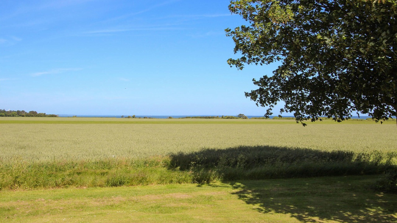 Photo of Bedroom in Marup