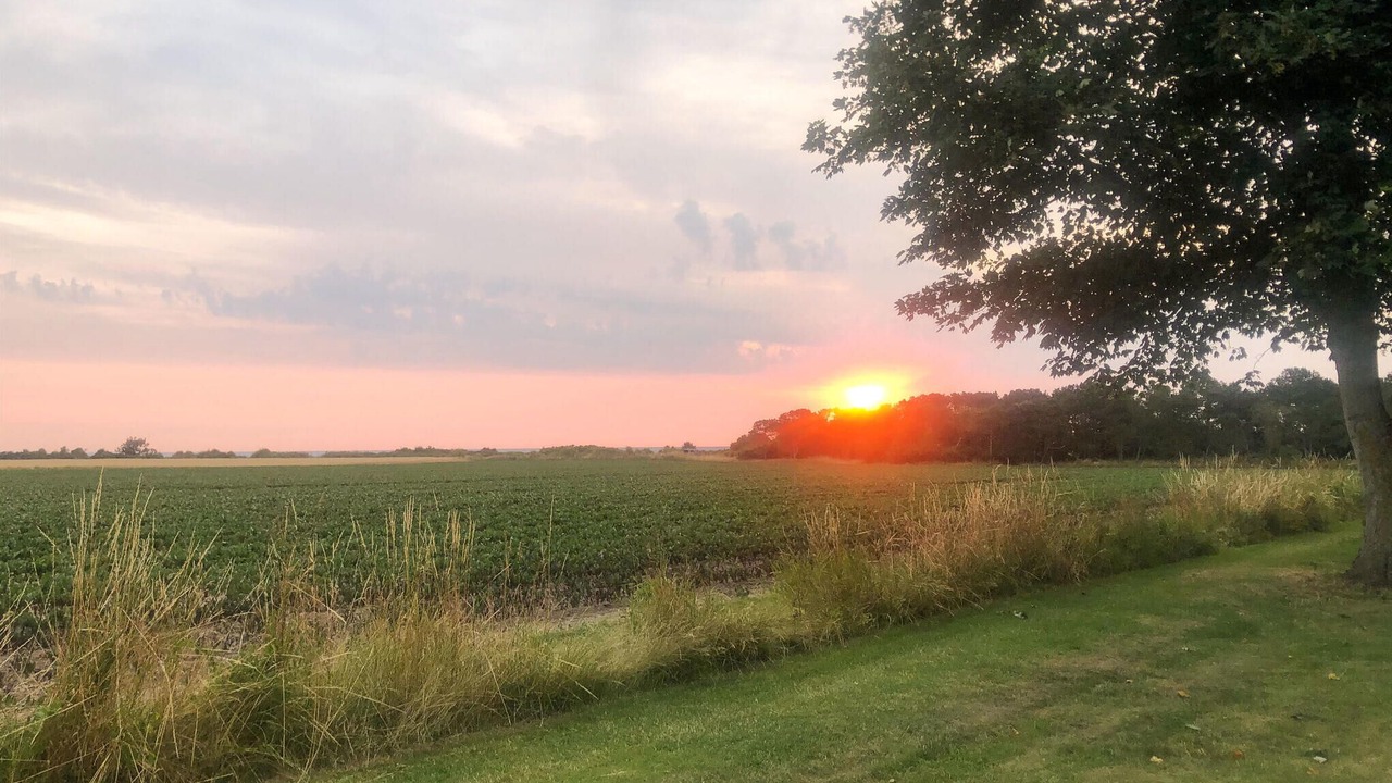 Photo of Bedroom in Marup