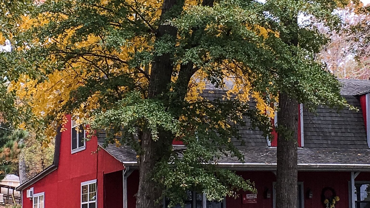 Photo of Outdoor in Murchison