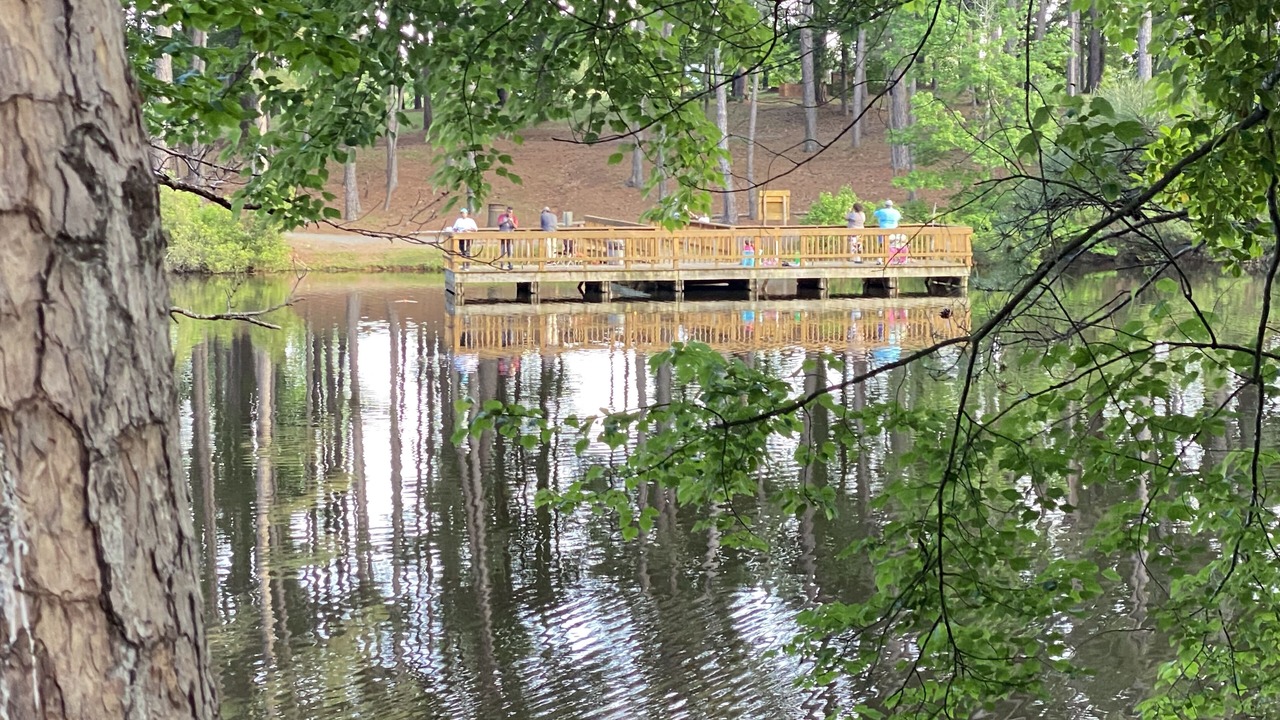 Photo of Others in Longview