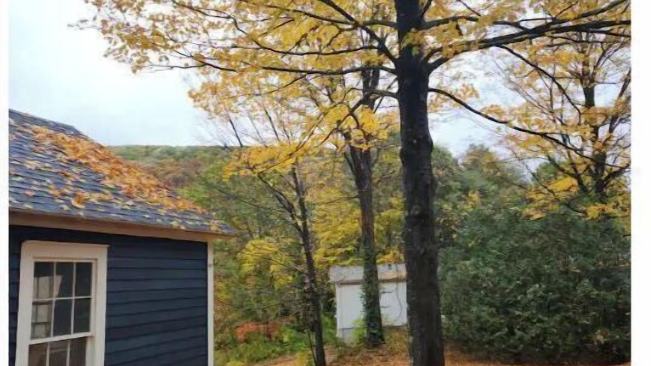 Photo of Outdoor in Buckland