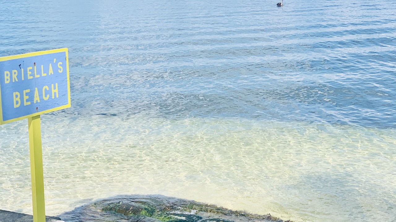 Photo of Others in Key Largo Village