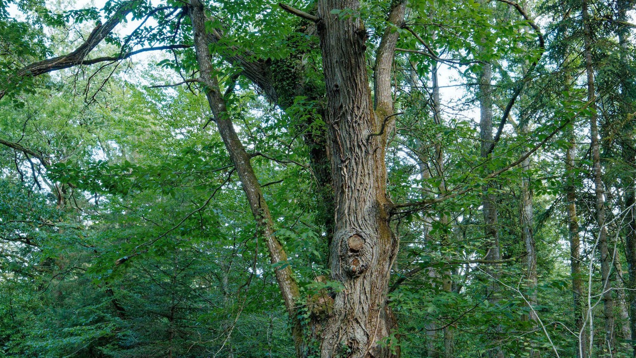 Photo of Outdoor in Crouy-sur-Cosson