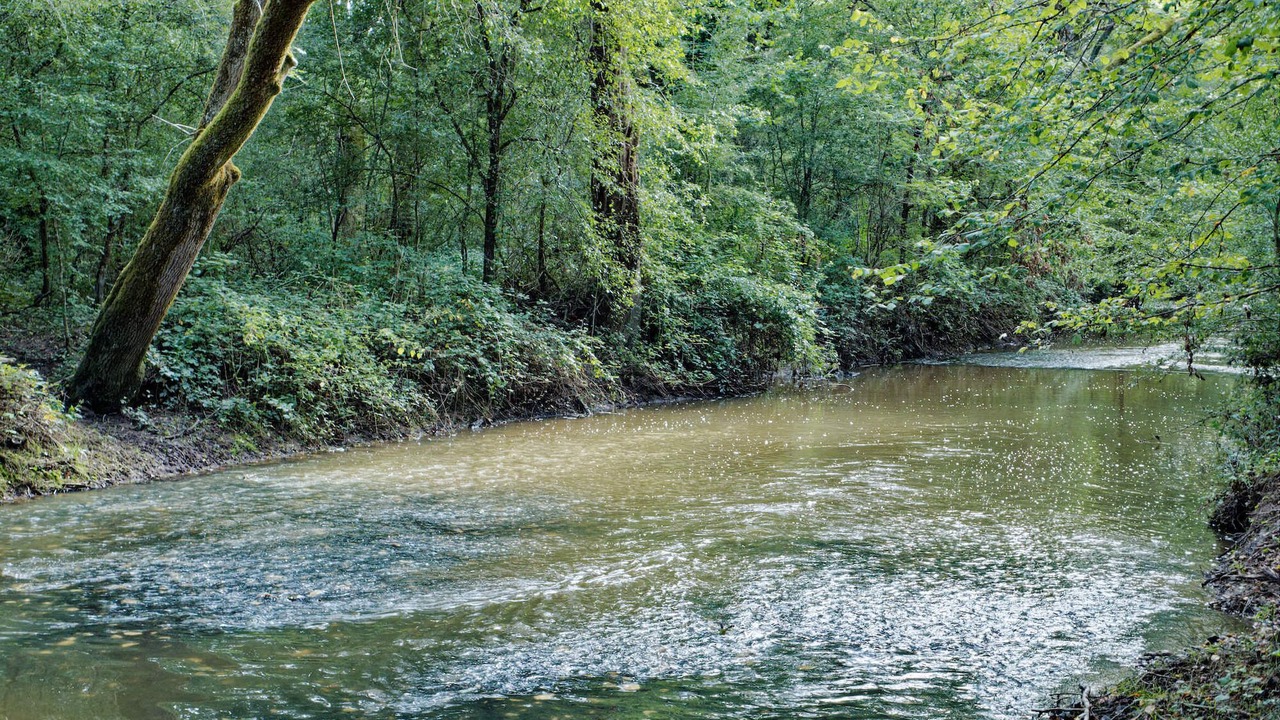Photo of Outdoor in Crouy-sur-Cosson