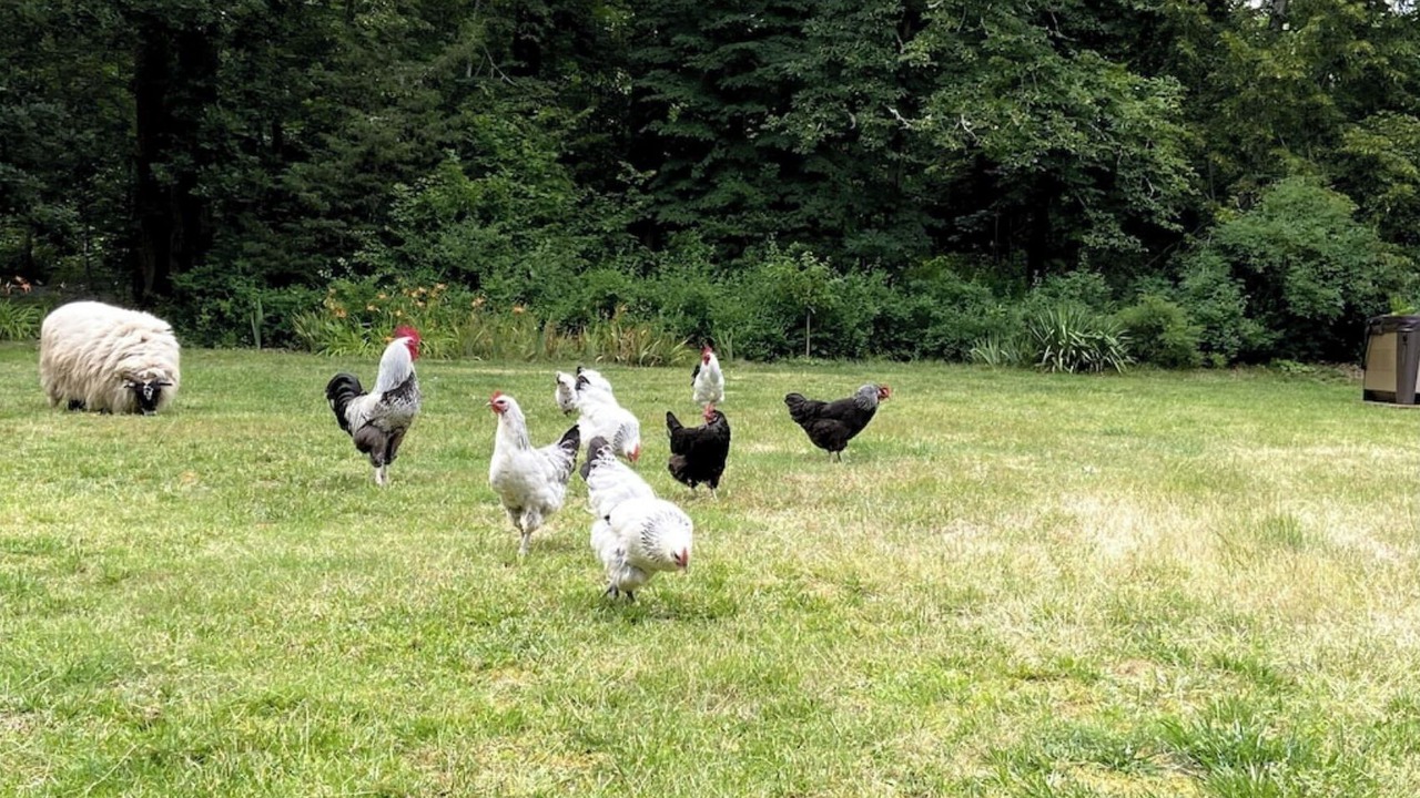 Photo of Outdoor in Crouy-sur-Cosson