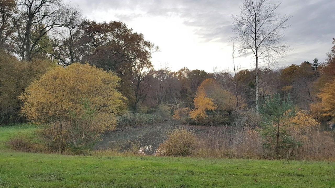 Photo of Outdoor in Crouy-sur-Cosson