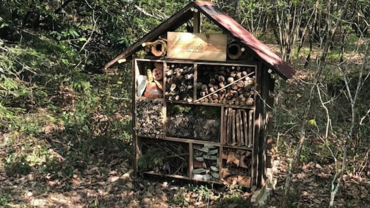 Photo of Outdoor in Crouy-sur-Cosson