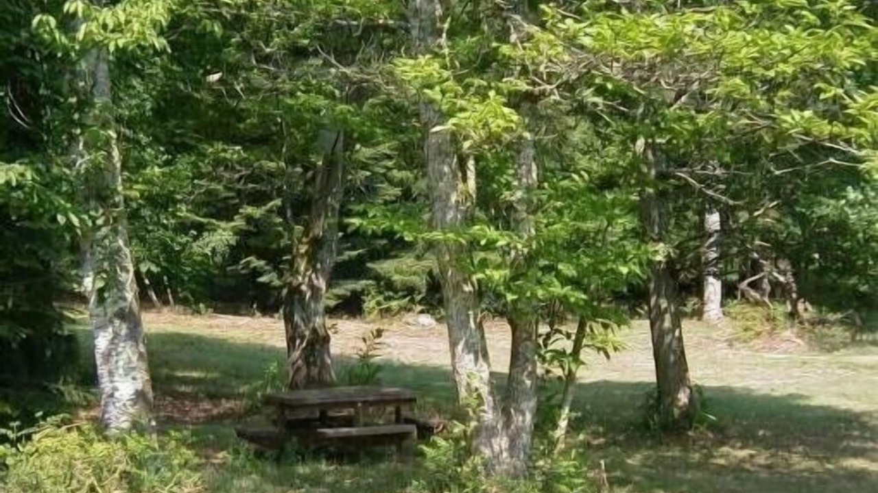 Photo of Outdoor in Crouy-sur-Cosson