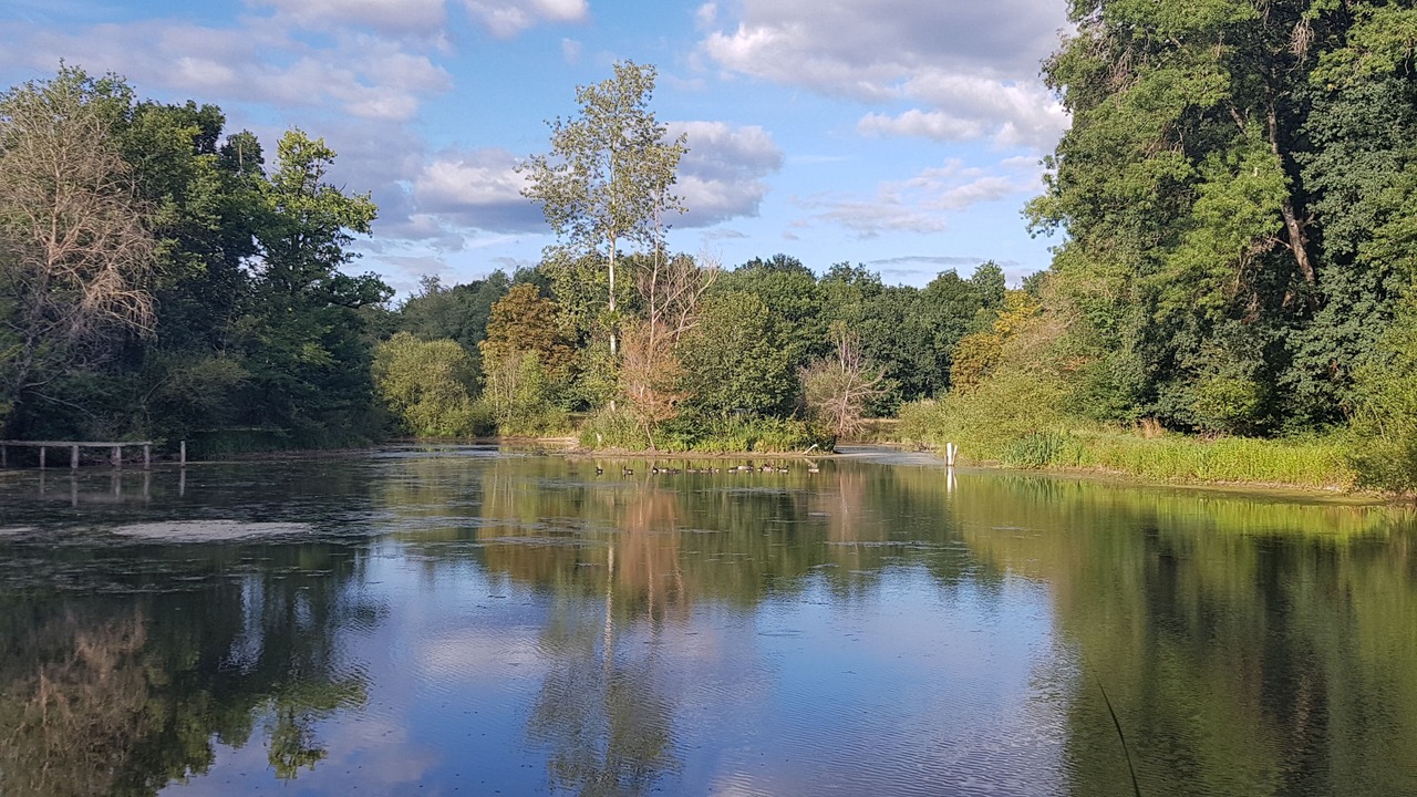Photo of Others in Crouy-sur-Cosson