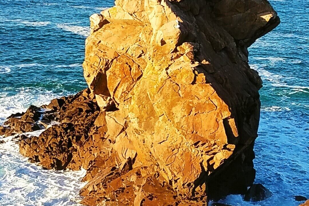 Photo of Others in Plougasnou