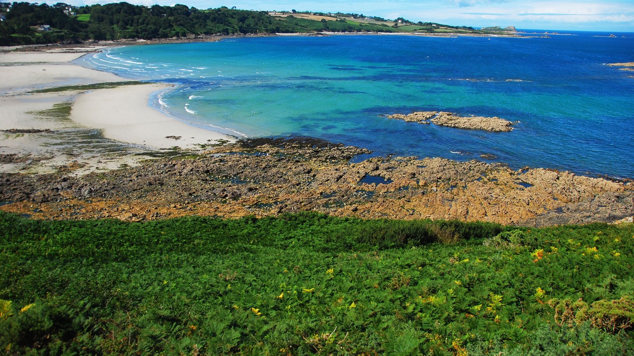 Photo of Others in Plougasnou