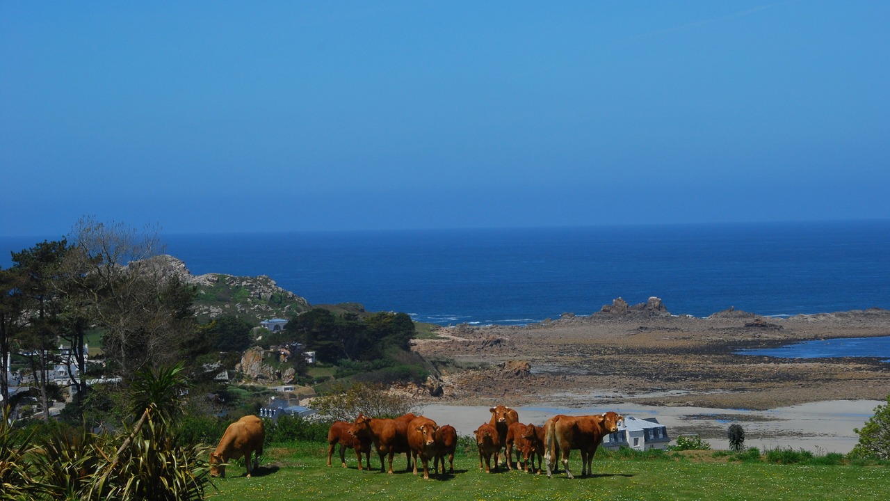 Photo of Outdoor in Plougasnou