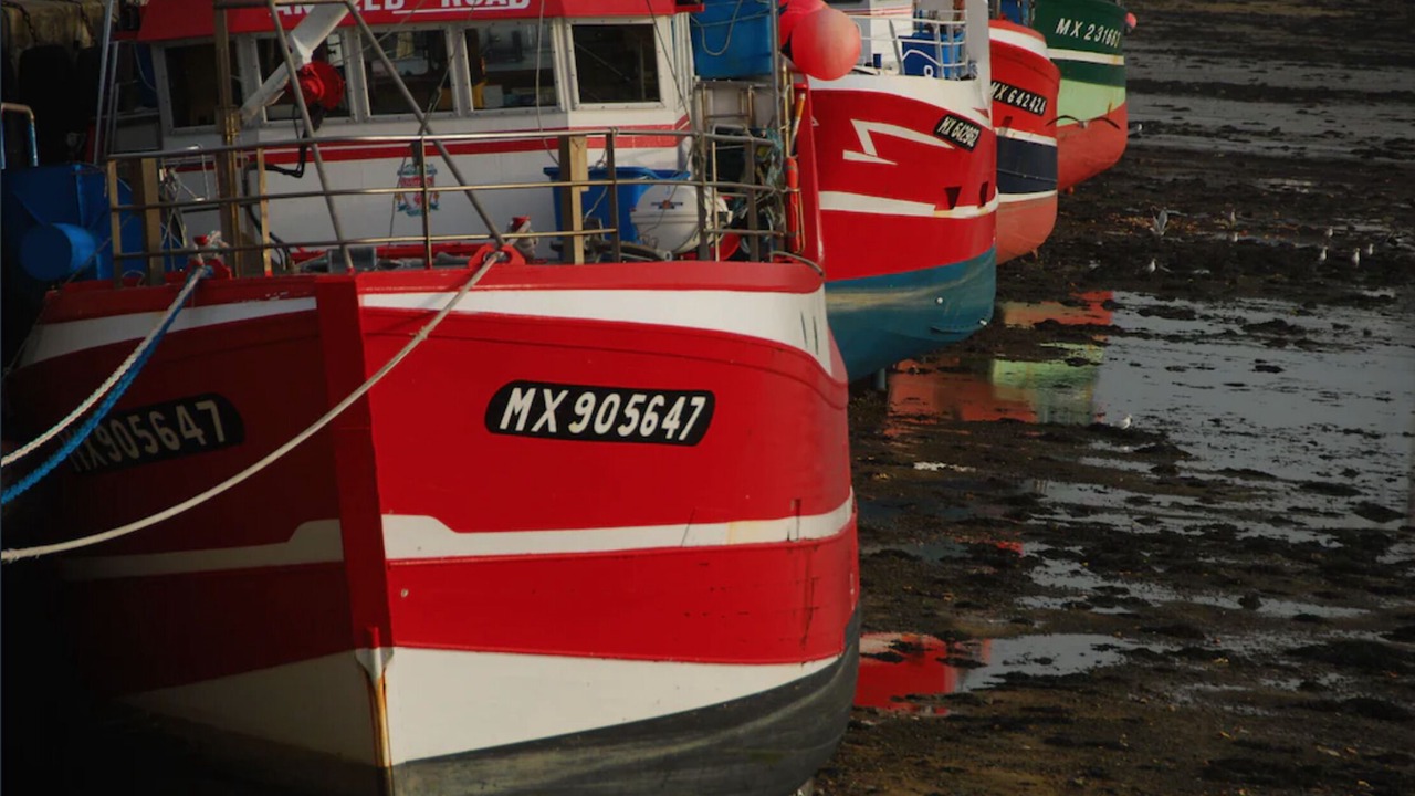 Photo of Others in Plougasnou