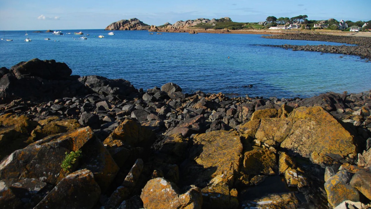 Photo of Others in Plougasnou