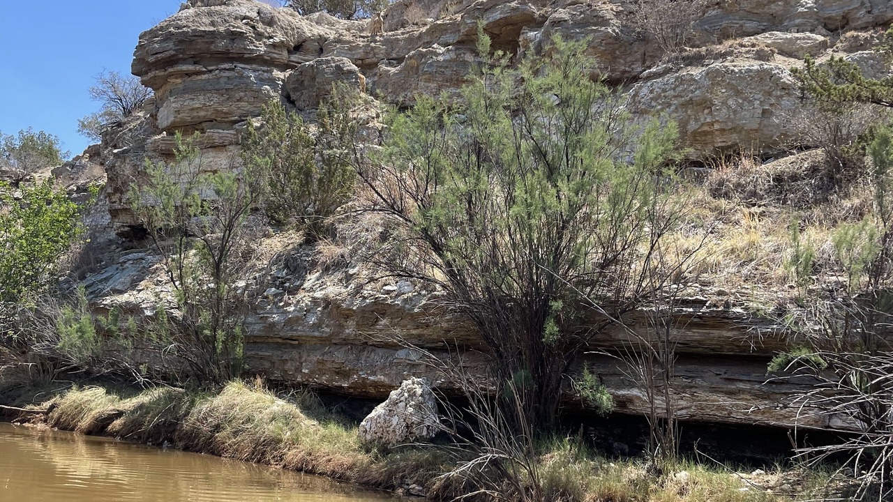 Photo of Others in Guthrie
