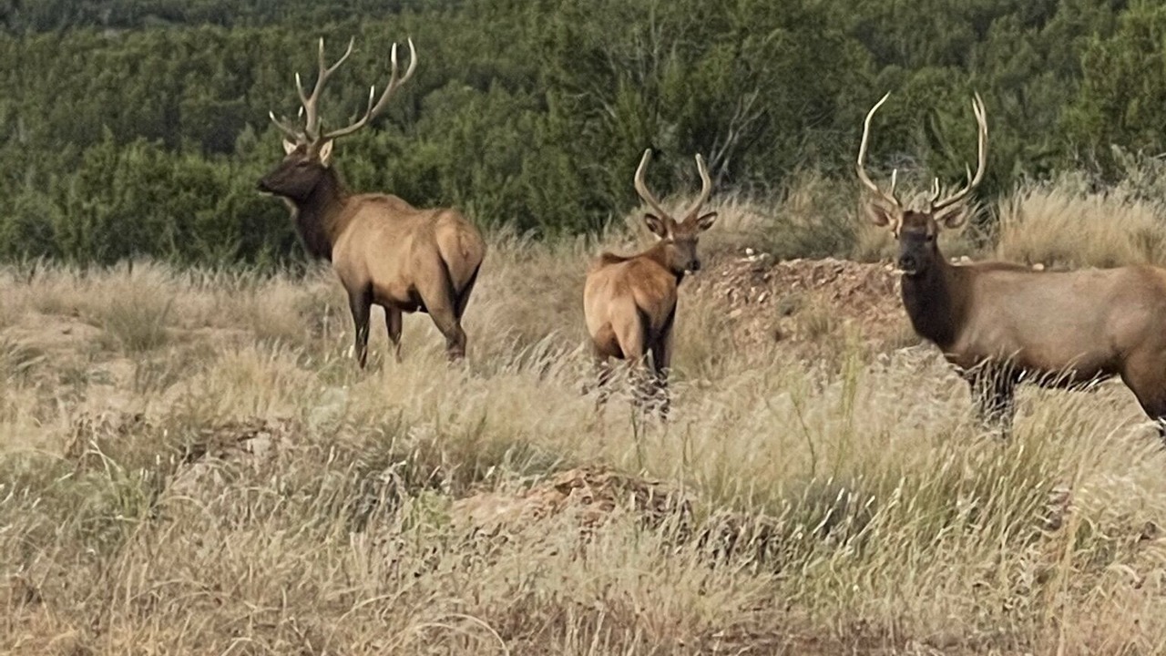 Photo of Others in Guthrie