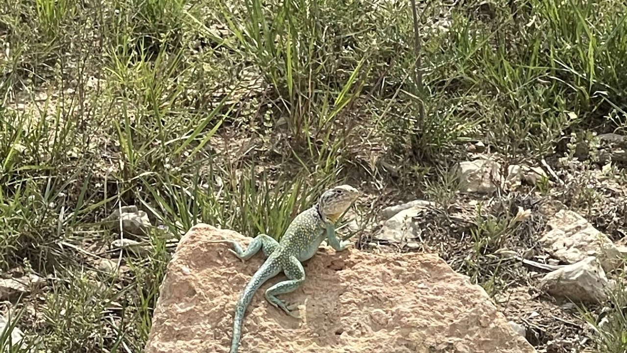 Photo of Others in Guthrie