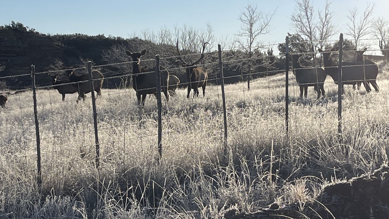 Photo of Others in Guthrie