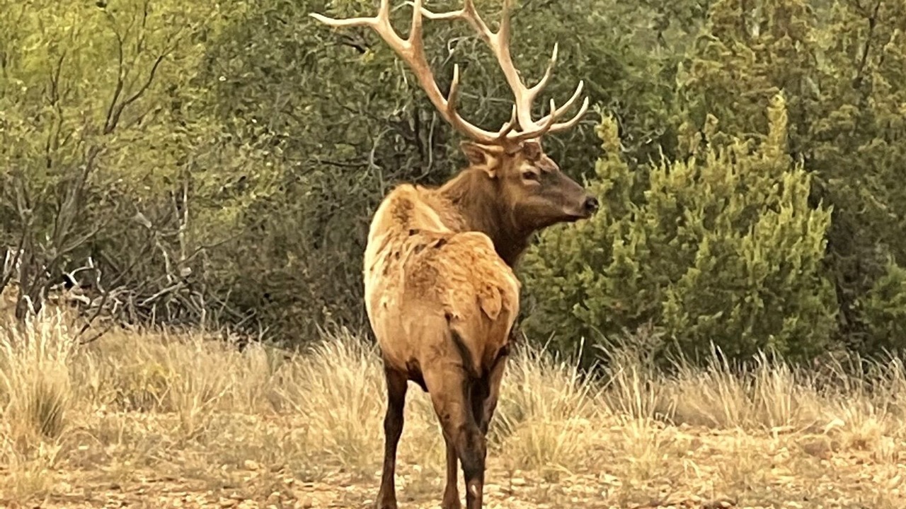 Photo of Others in Guthrie