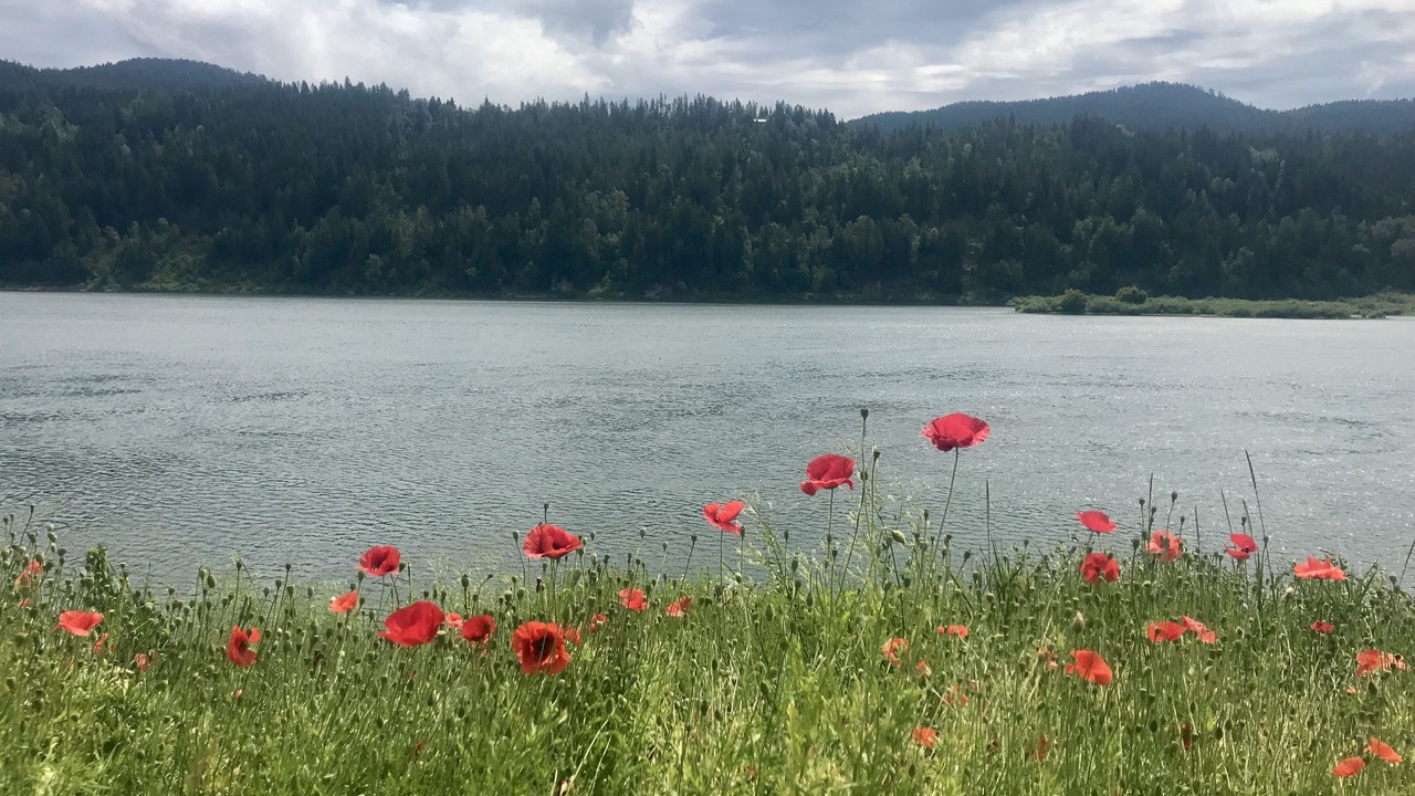 Photo of Others in Metaline