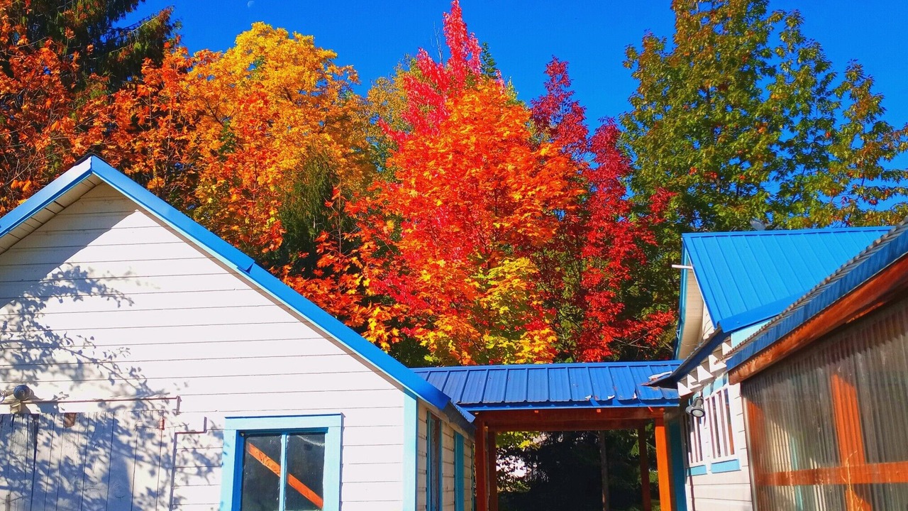 Photo of Others in Metaline