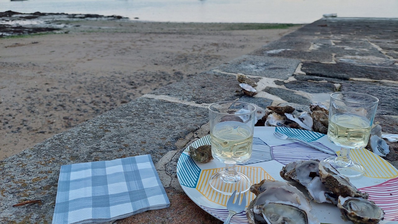 Photo of Others in Le Minihic-sur-Rance