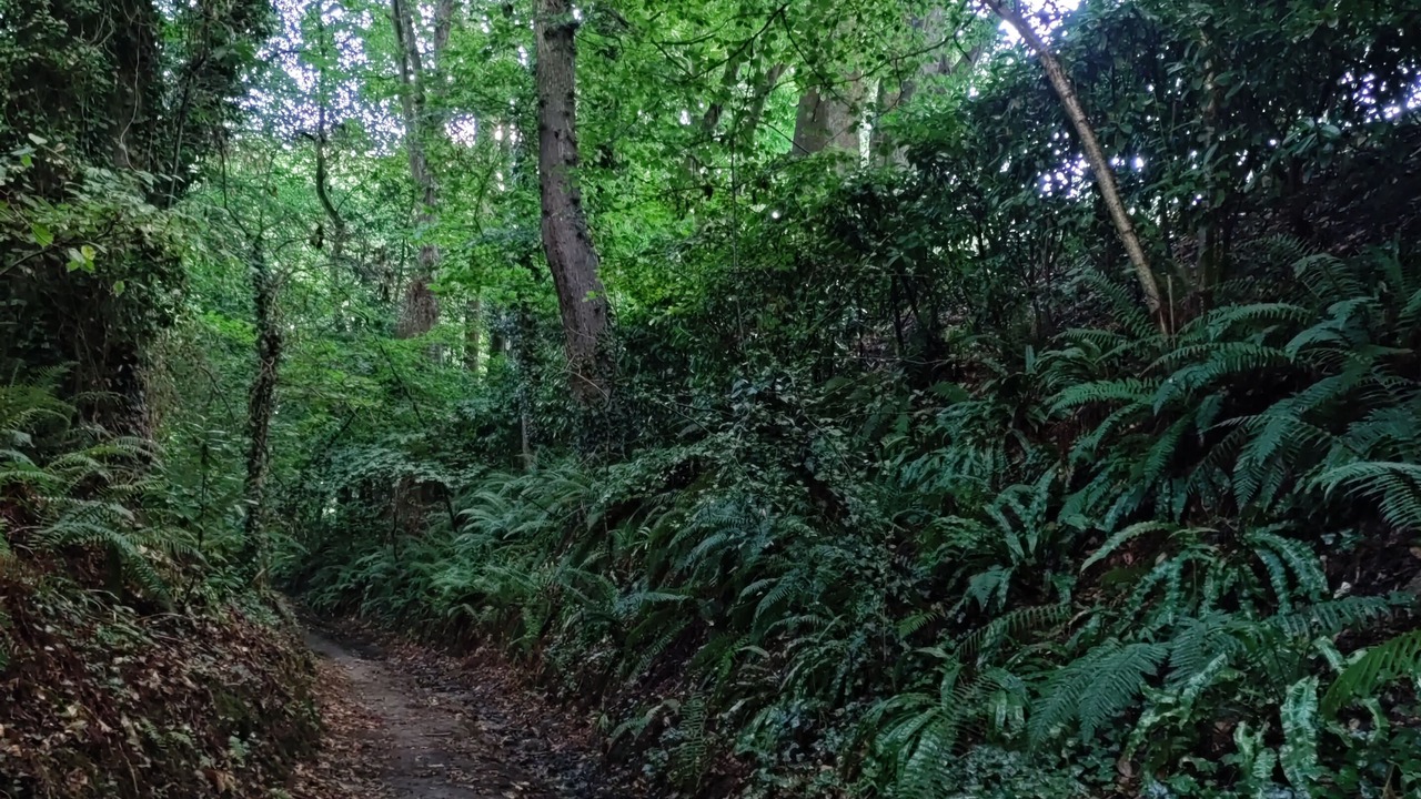 Photo of Outdoor in Le Minihic-sur-Rance