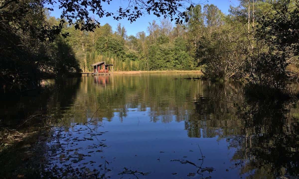 Photo of Outdoor in Nellysford