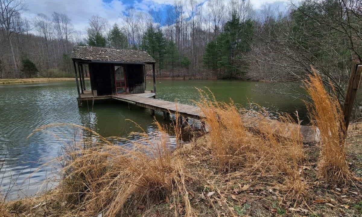 Photo of Outdoor in Nellysford