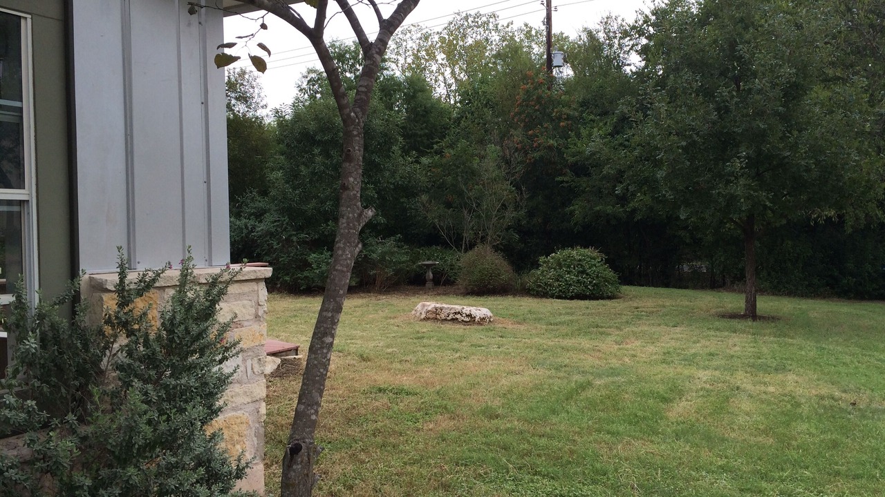 Photo of Outdoor in East Riverside - Oltorf