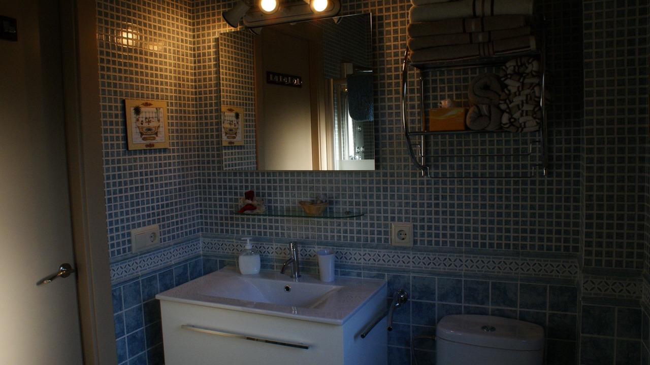 Photo of Bathroom in Santa Margarida de Bianya