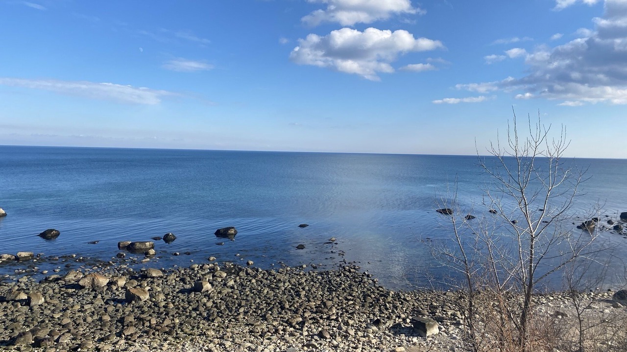 Photo of Others in Plymouth